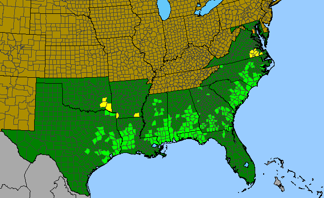 The range of Aletris aurea